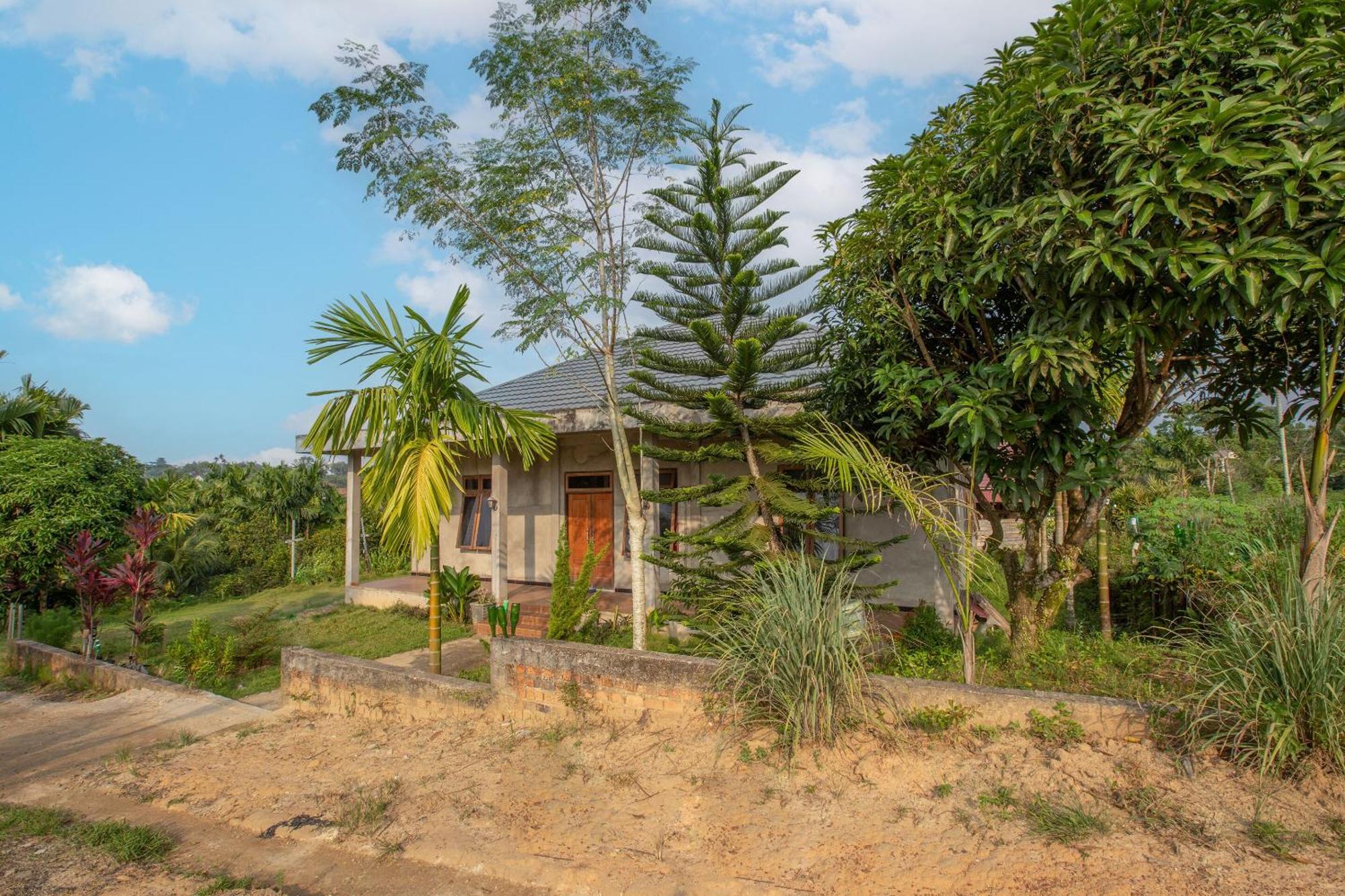 Oyo 92587 Homestay Romauli Kampung Radja Jambi Eksteriør bilde